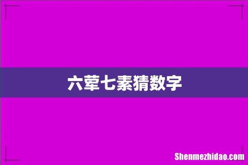 六荤七素猜数字