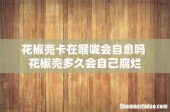 花椒壳卡在喉咙会自愈吗 花椒壳多久会自己腐烂