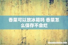 香菜可以放冰箱吗 香菜怎么保存不会烂
