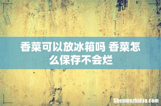 香菜可以放冰箱吗 香菜怎么保存不会烂