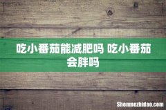 吃小番茄能减肥吗 吃小番茄会胖吗