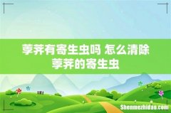 荸荠有寄生虫吗 怎么清除荸荠的寄生虫
