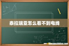 泰拉瑞亚怎么看不到电线