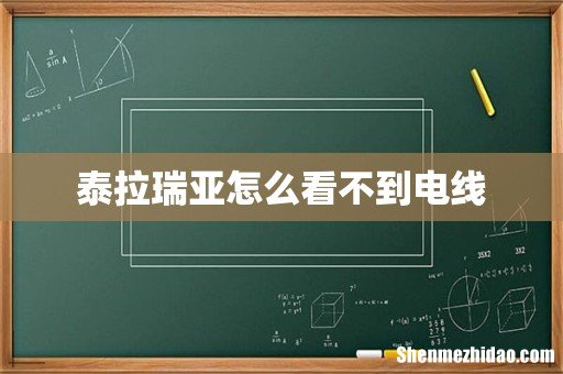 泰拉瑞亚怎么看不到电线