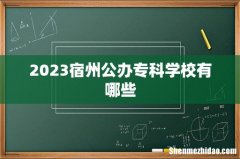2023宿州公办专科学校有哪些