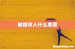 被授权人什么意思