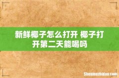 新鲜椰子怎么打开 椰子打开第二天能喝吗