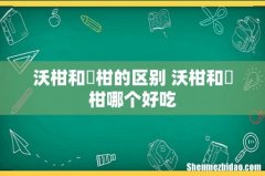 沃柑和椪柑的区别 沃柑和椪柑哪个好吃