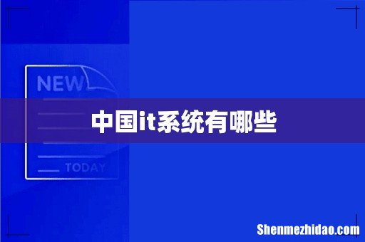 中国it系统有哪些