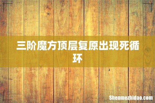 三阶魔方顶层复原出现死循环