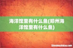 郑州海洋馆里有什么鱼 海洋馆里有什么鱼