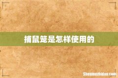 捕鼠笼是怎样使用的