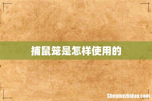 捕鼠笼是怎样使用的