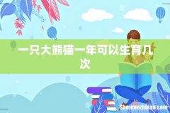 一只大熊猫一年可以生育几次