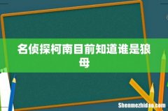 名侦探柯南目前知道谁是狼母