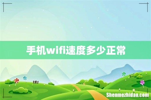 手机wifi速度多少正常