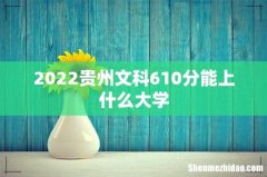 2022贵州文科610分能上什么大学