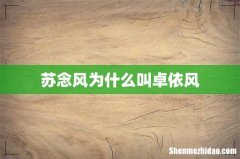 苏念风为什么叫卓依风