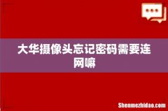 大华摄像头忘记密码需要连网嘛