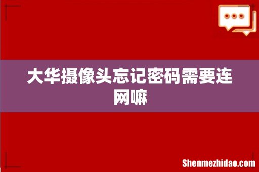 大华摄像头忘记密码需要连网嘛