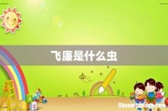 飞廉是什么虫