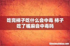 吃完柿子吃什么会中毒 柿子吃了嘴麻会中毒吗