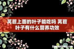 莴苣上面的叶子能吃吗 莴苣叶子有什么营养功效
