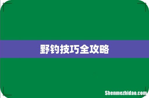 野钓技巧全攻略