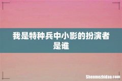 我是特种兵中小影的扮演者是谁