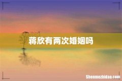 蒋欣有两次婚姻吗