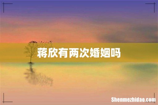 蒋欣有两次婚姻吗