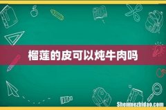 榴莲的皮可以炖牛肉吗