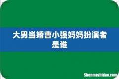 大男当婚曹小强妈妈扮演者是谁