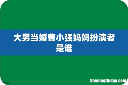 大男当婚曹小强妈妈扮演者是谁
