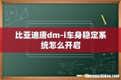 比亚迪唐dm-i车身稳定系统怎么开启