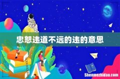 忠恕违道不远的违的意思