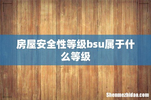 房屋安全性等级bsu属于什么等级