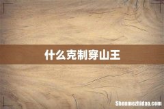 什么克制穿山王
