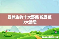 最养生的十大野菜 吃野菜3大禁忌