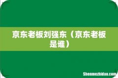 京东老板是谁 京东老板刘强东