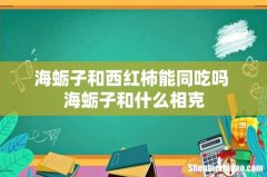 海蛎子和西红柿能同吃吗 海蛎子和什么相克