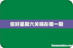 你好星期六关晓彤哪一期
