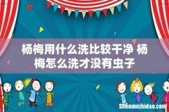 杨梅用什么洗比较干净 杨梅怎么洗才没有虫子