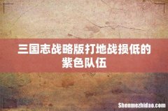 三国志战略版打地战损低的紫色队伍