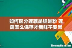 如何区分莲藕是脆是粉 莲藕怎么保存才新鲜不变黑
