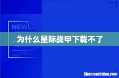 为什么星际战甲下载不了