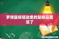 罗技鼠标驱动里的鼠标设置没了