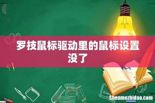 罗技鼠标驱动里的鼠标设置没了