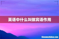 英语中什么叫做宾语作用