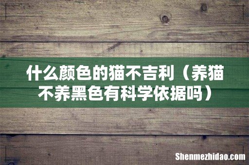 养猫不养黑色有科学依据吗 什么颜色的猫不吉利